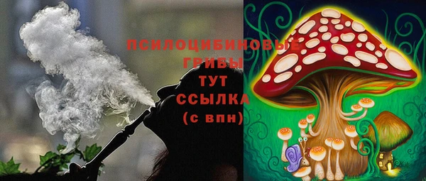 spice Алексин