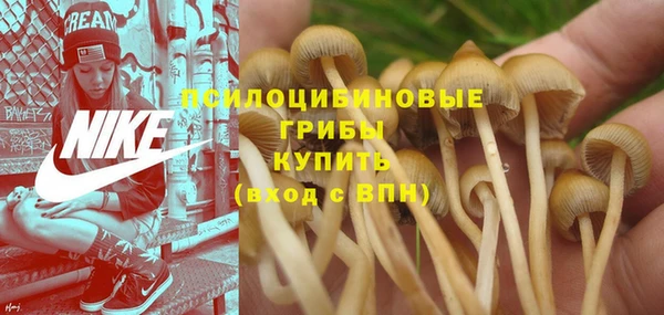 трава Алексеевка