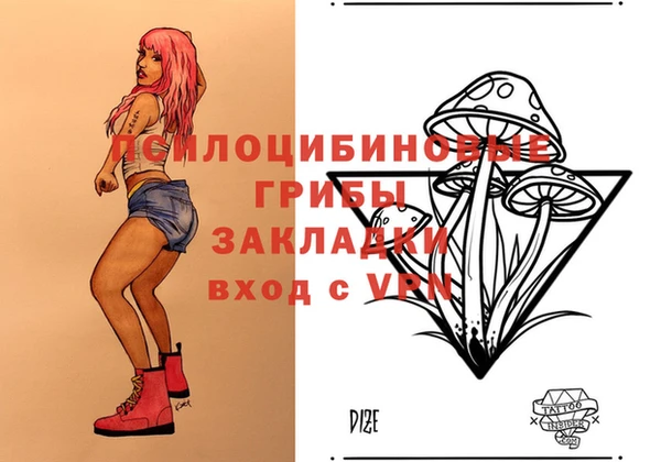 МДПВ Абинск