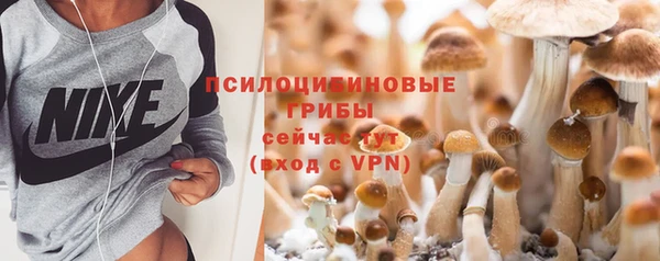 spice Алексин