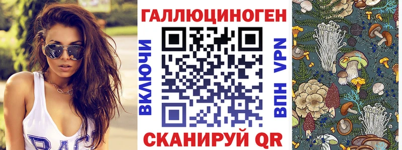 цена   Кохма  Псилоцибиновые грибы ЛСД 
